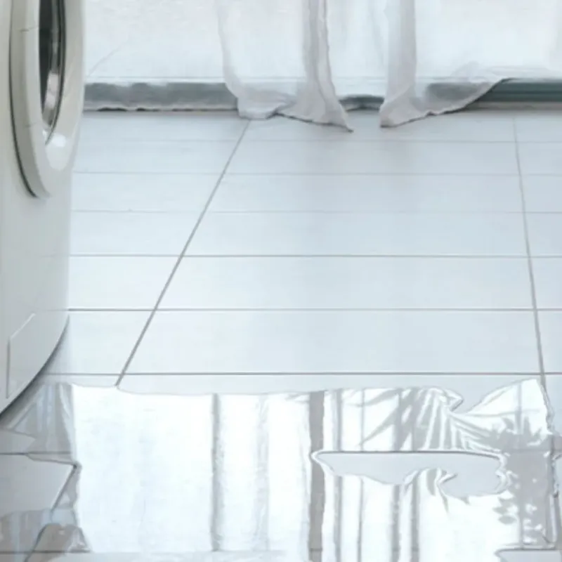 Appliance Leak Cleanup in Mathis, TX