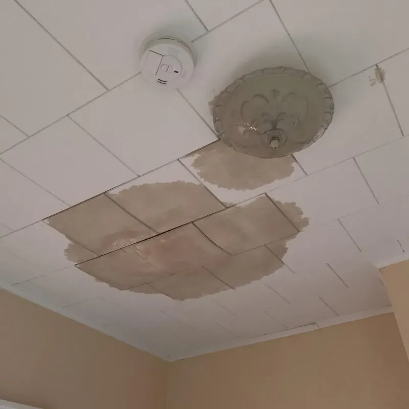 Ceiling Water Damage Repair in Mathis, TX