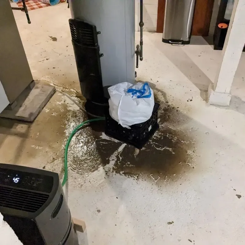 Sewage Backup Cleanup Service in Mathis, TX
